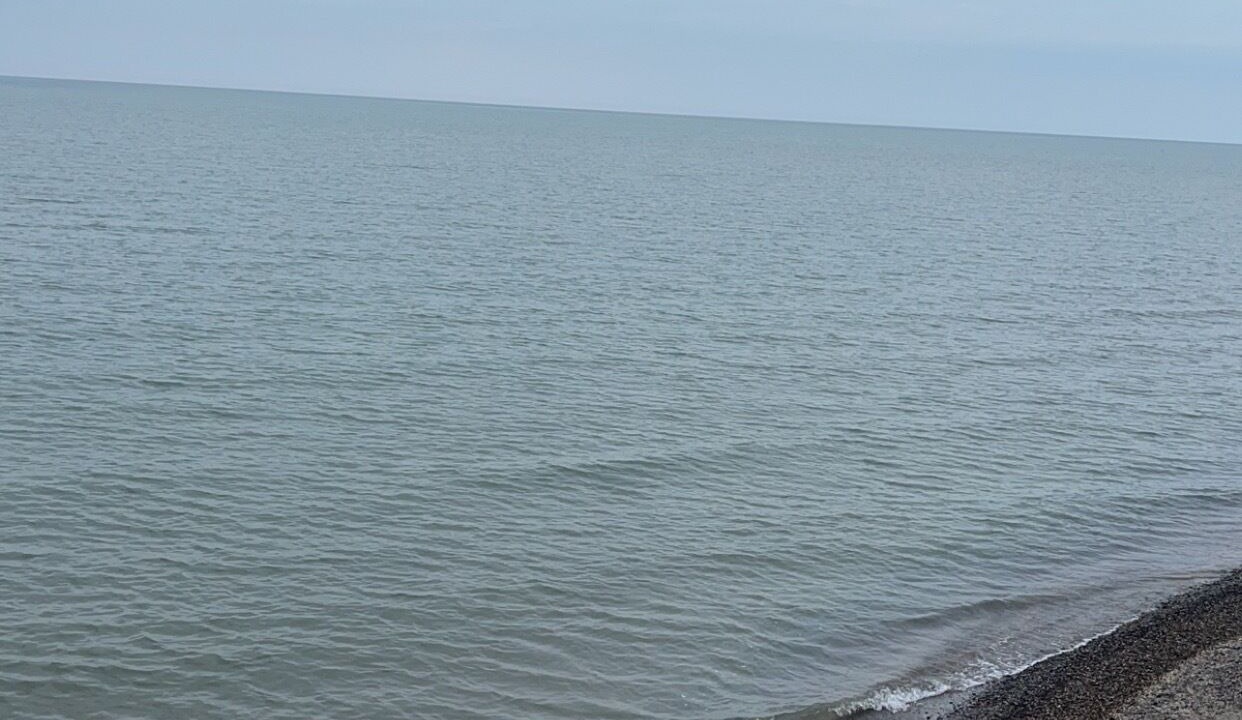 Photo of Others in Dunkirk