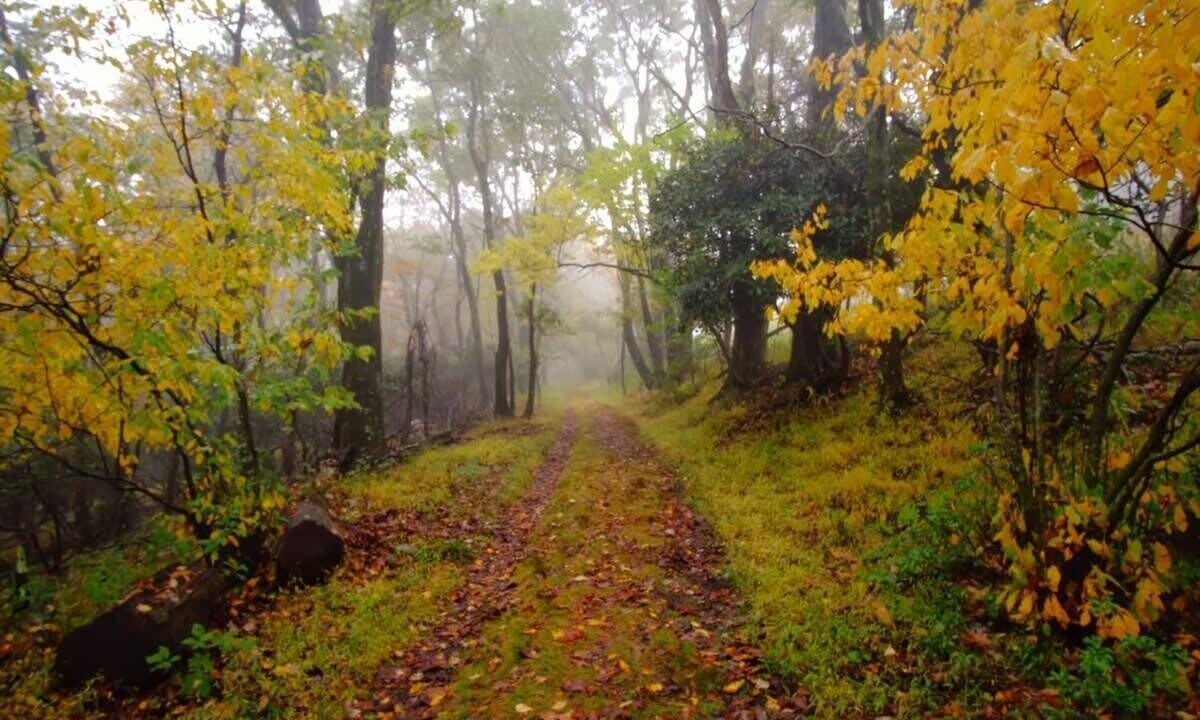 Photo of Outdoor in Meadows Of Dan