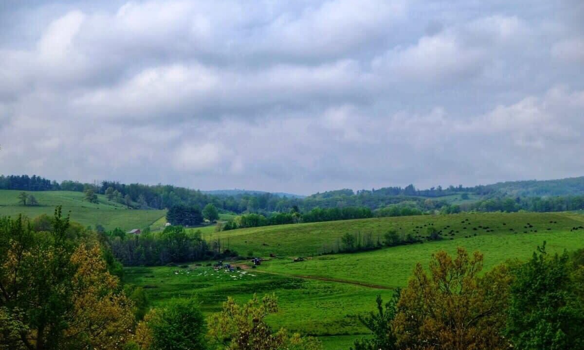 Photo of Others in Meadows Of Dan