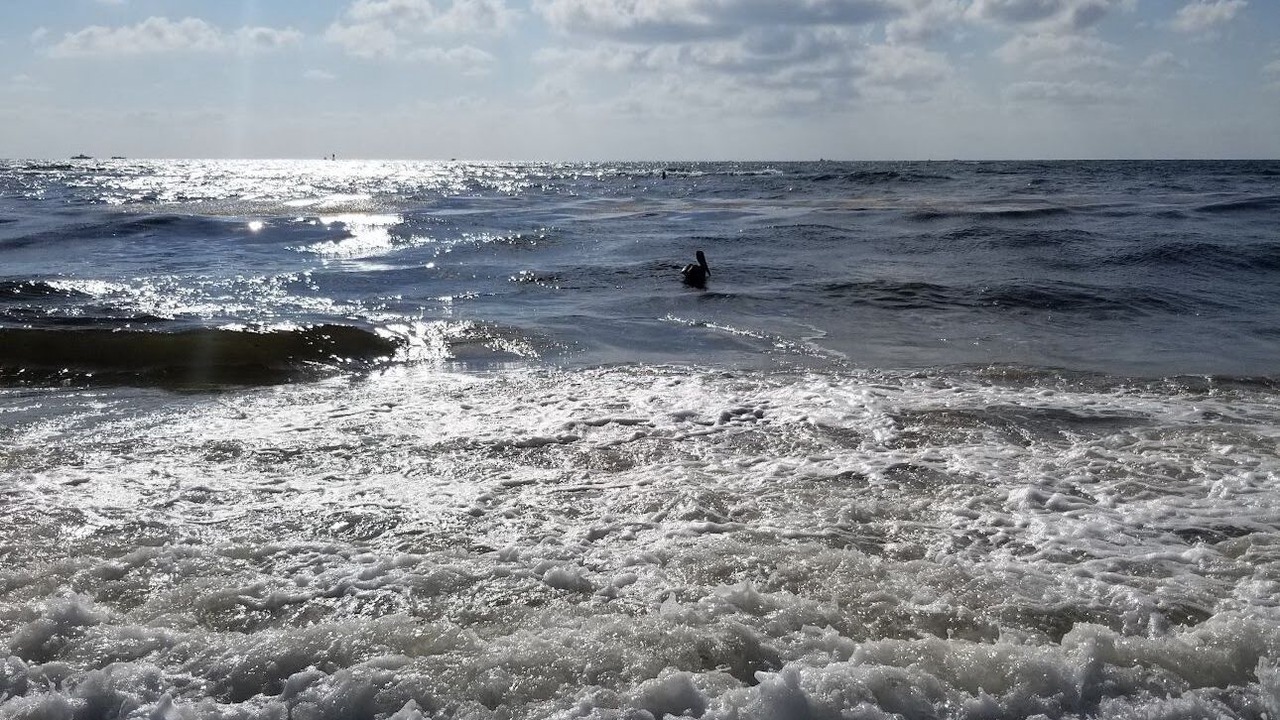 Photo of Others in Hillsboro Beach
