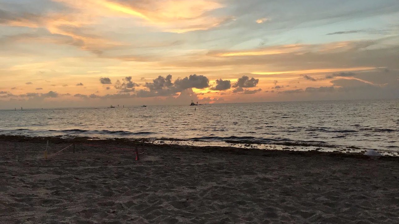 Photo of Outdoor in Hillsboro Beach