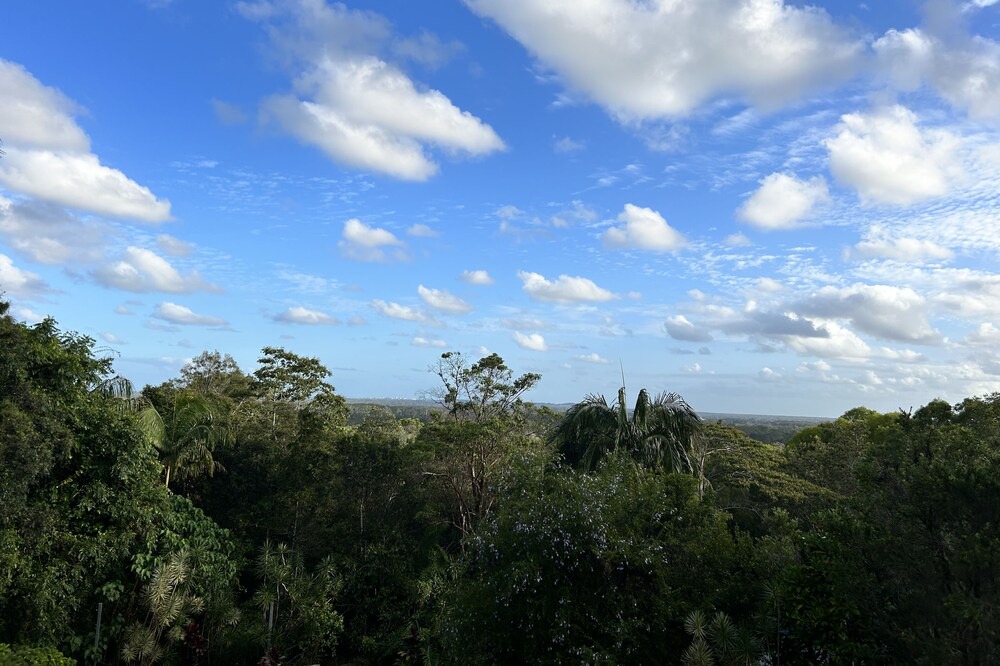 Photo of Others in Buderim
