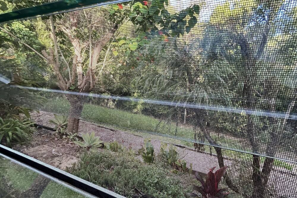 Photo of Others in Buderim