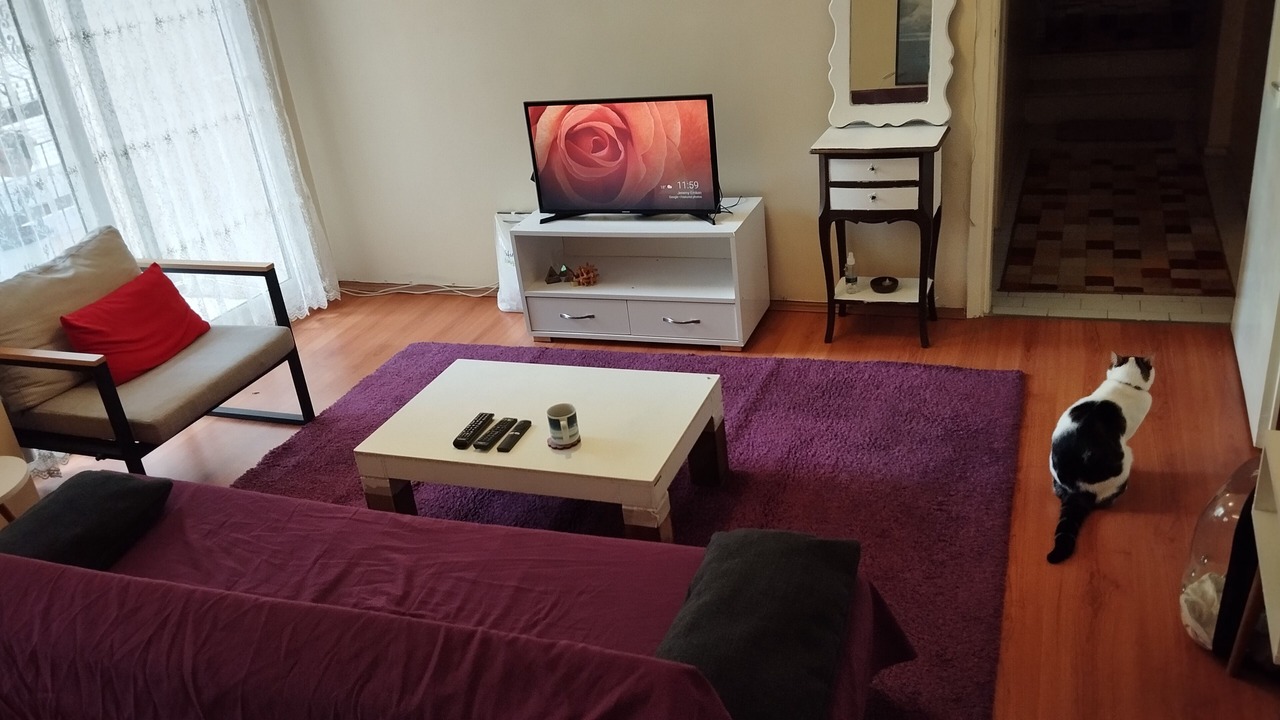 Photo of Livingroom in Konak