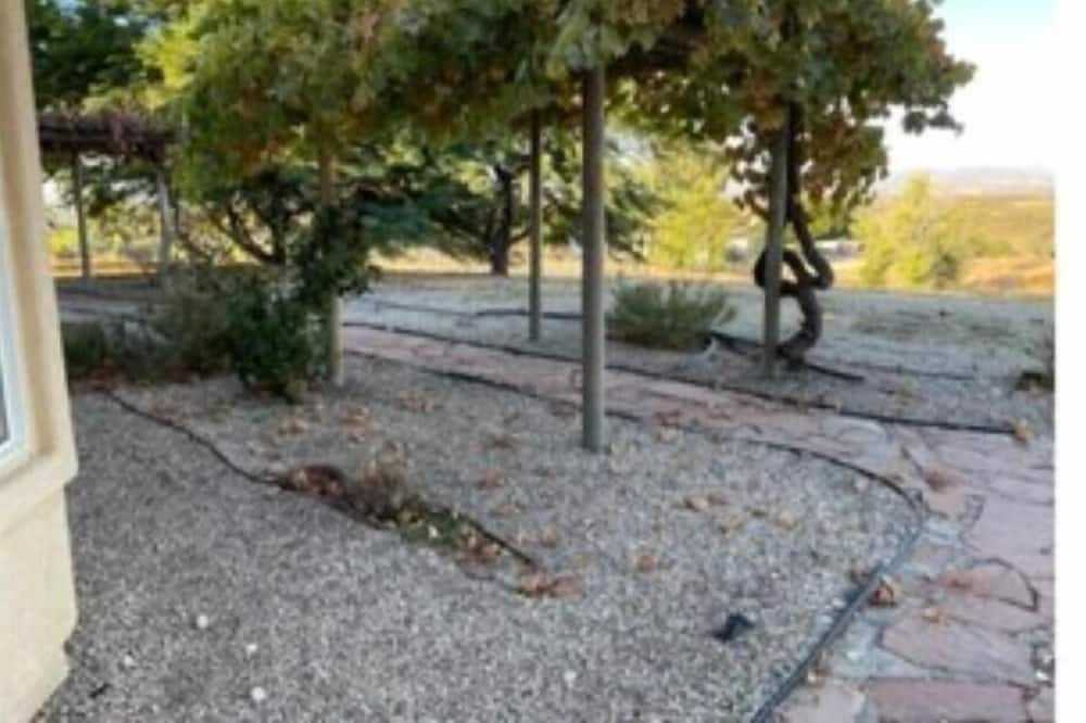Photo of Outdoor in San Miguel