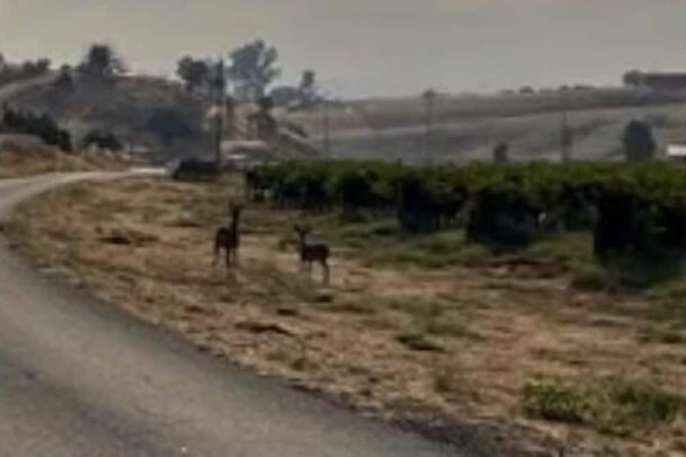 Photo of Others in San Miguel