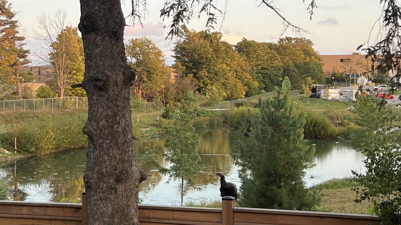 Photo of Outdoor in Barrie