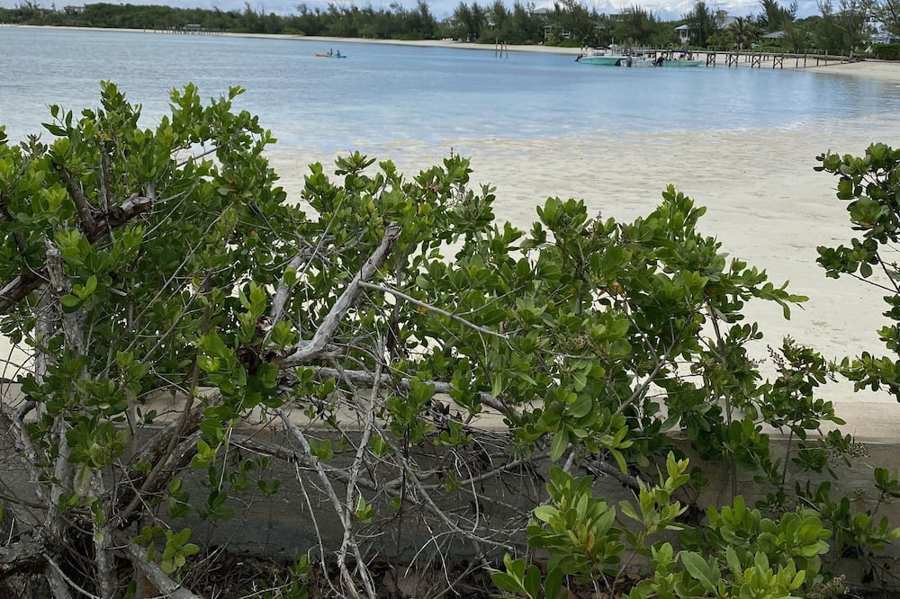 Photo of Others in Green Turtle Cay