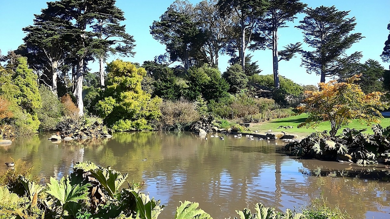 Photo of Outdoor in Civic Center
