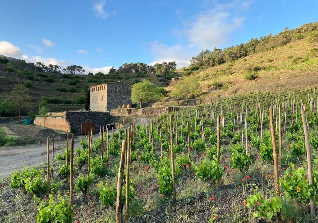 Photo of Outdoor in Poboleda
