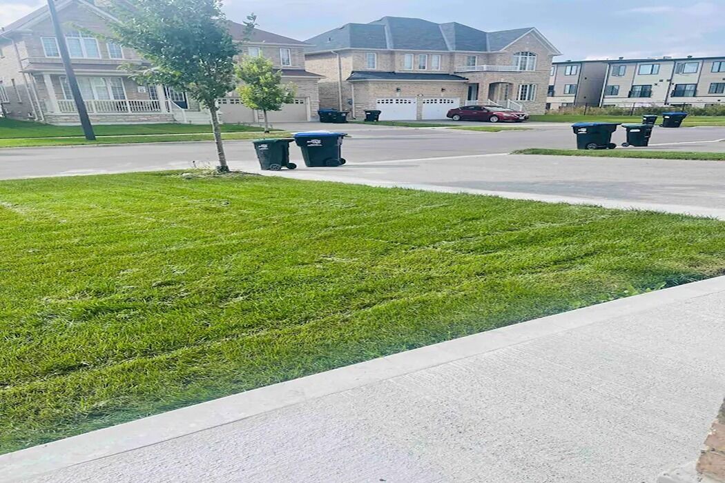 Photo of Outdoor in Innisfil