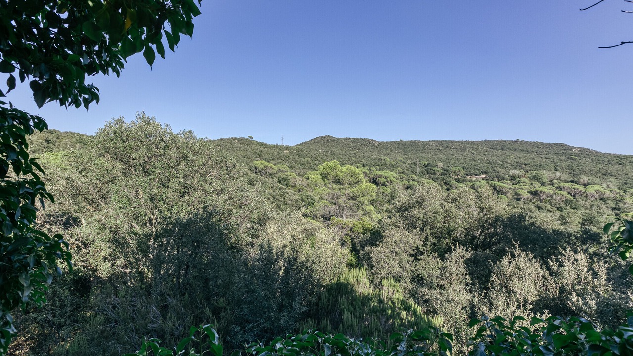 Photo of Others in Calonge