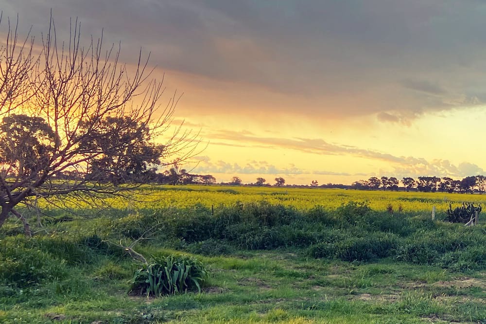 Photo of Outdoor in Tocumwal