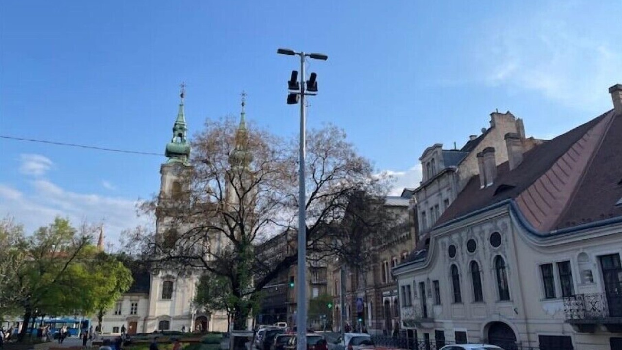 Photo of Others in Castle Hill