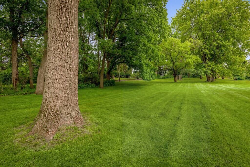 Photo of Others in Penfield