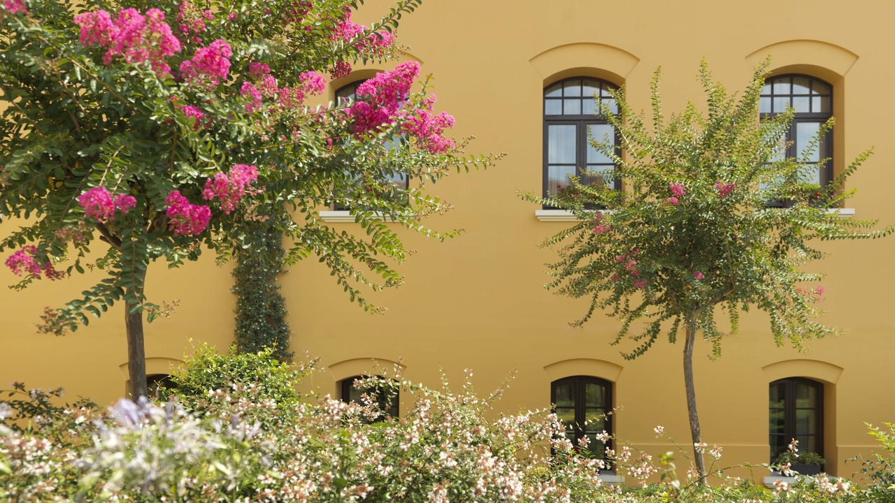 Photo of Outdoor in Sultanahmet