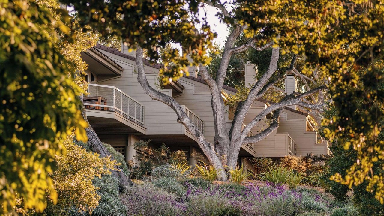 Photo of Outdoor in Carmel