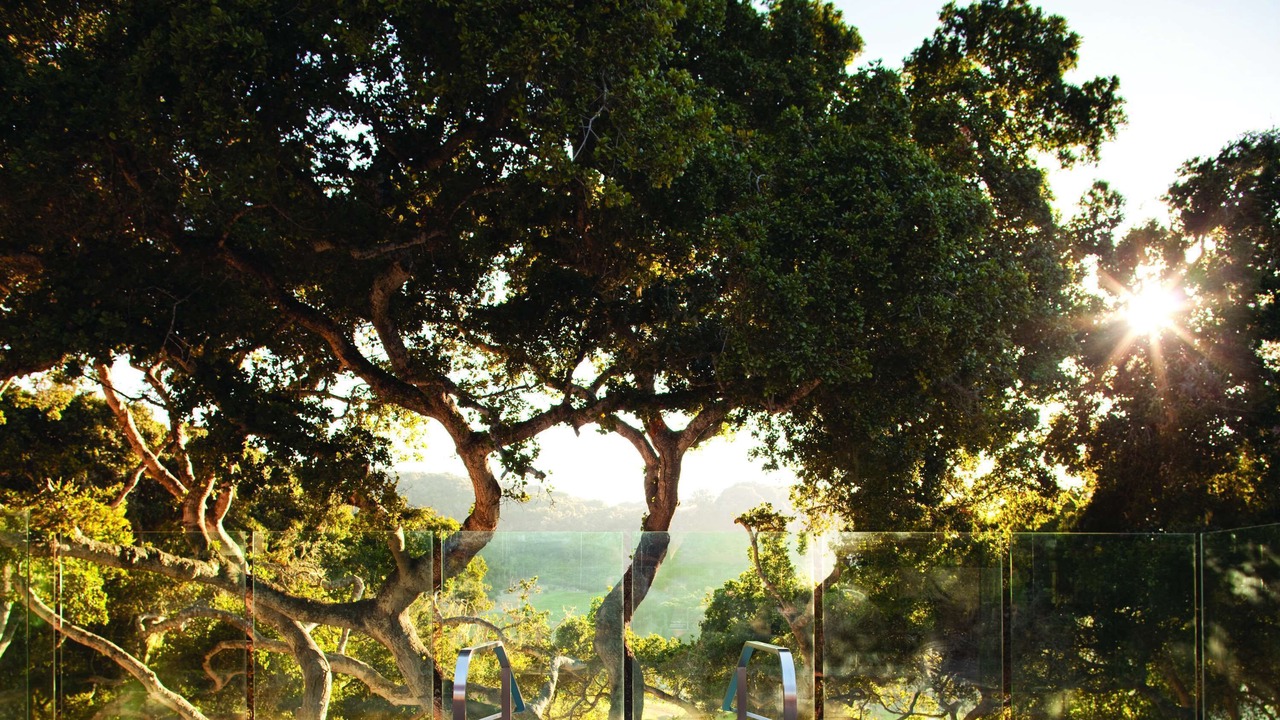 Photo of Outdoor in Carmel