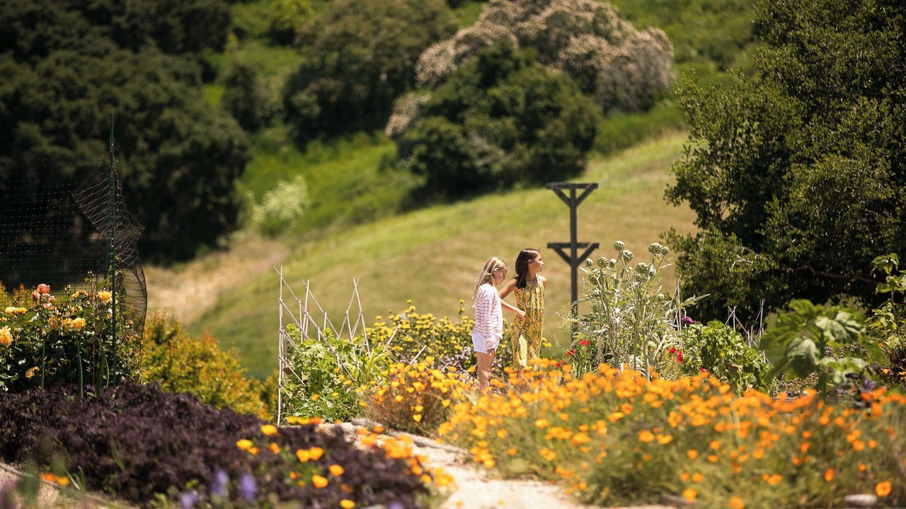 Photo of Outdoor in Carmel