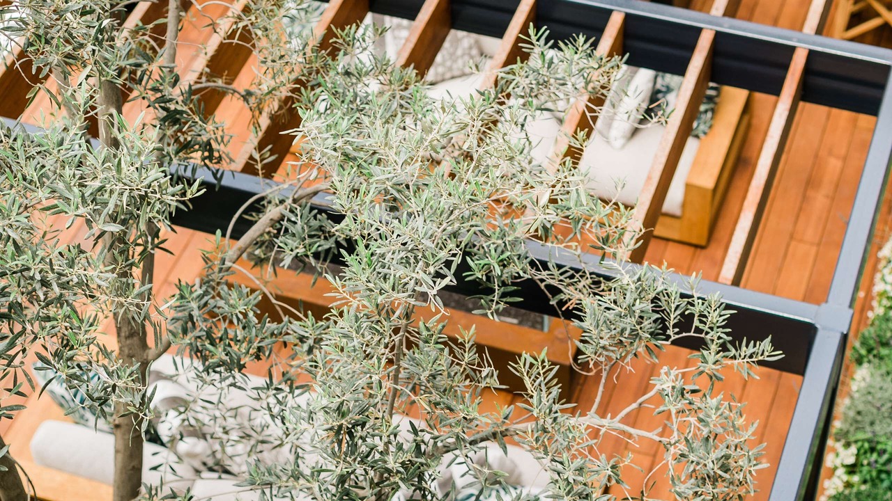 Photo of Patio Balcony in Wilshire Montana
