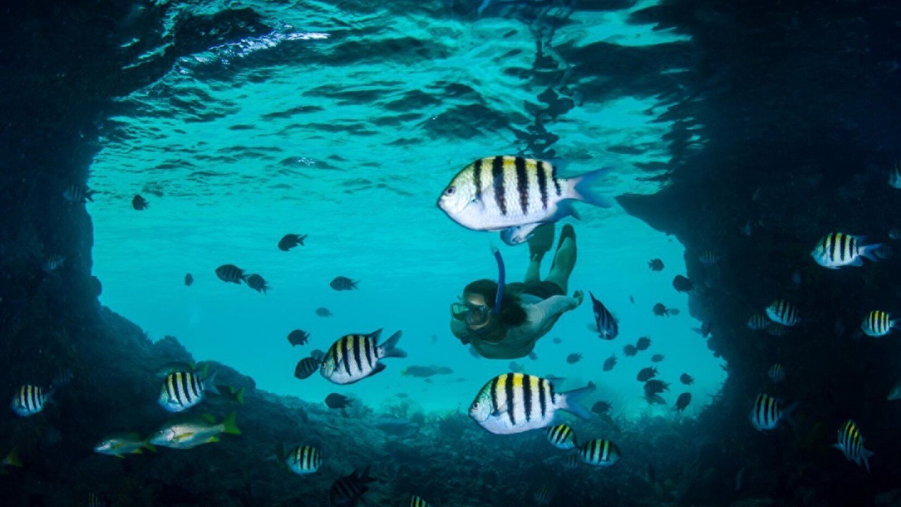 Photo of Others in Paradise Island