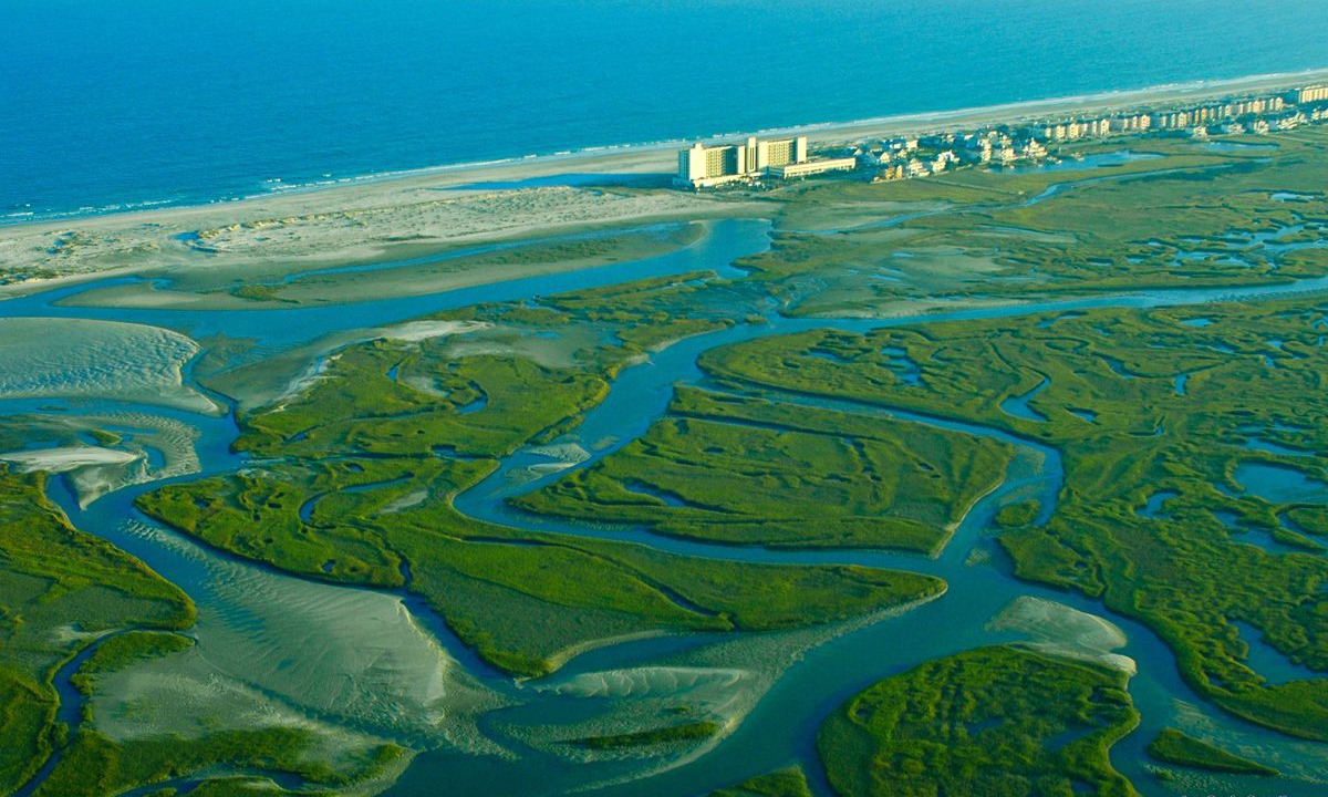 Photo of Outdoor in Shell Island