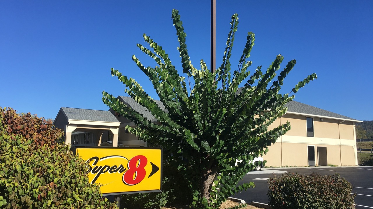Photo of Outdoor in Erwin