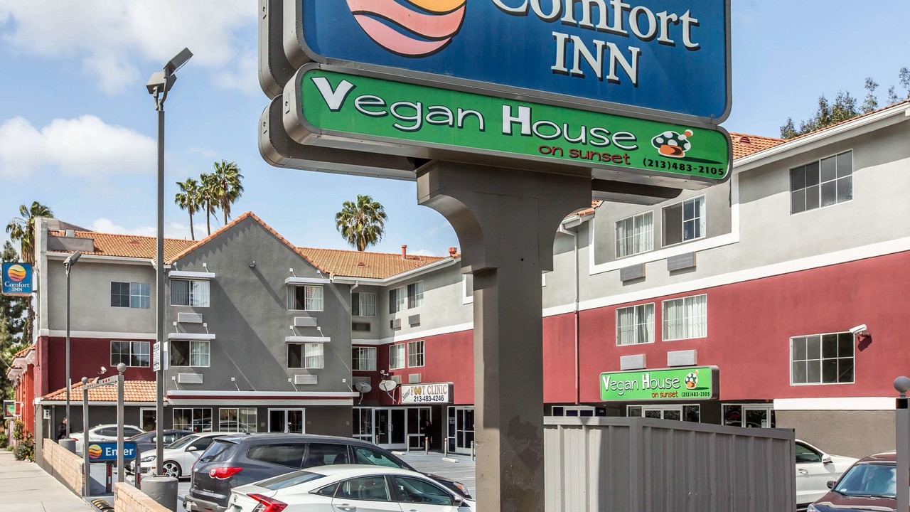 Photo of Outdoor in Sunset Junction