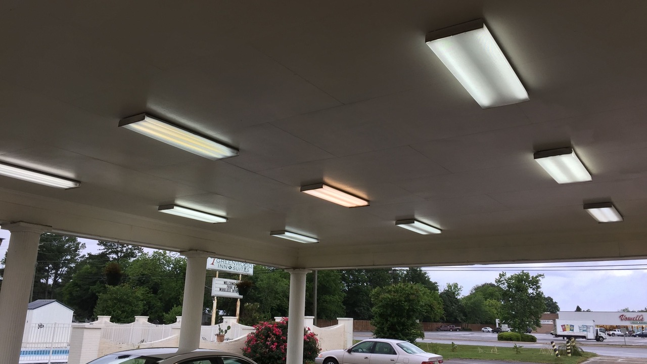 Photo of Others in Demopolis