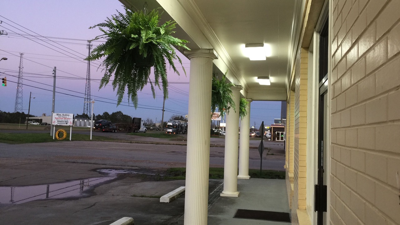 Photo of Others in Demopolis