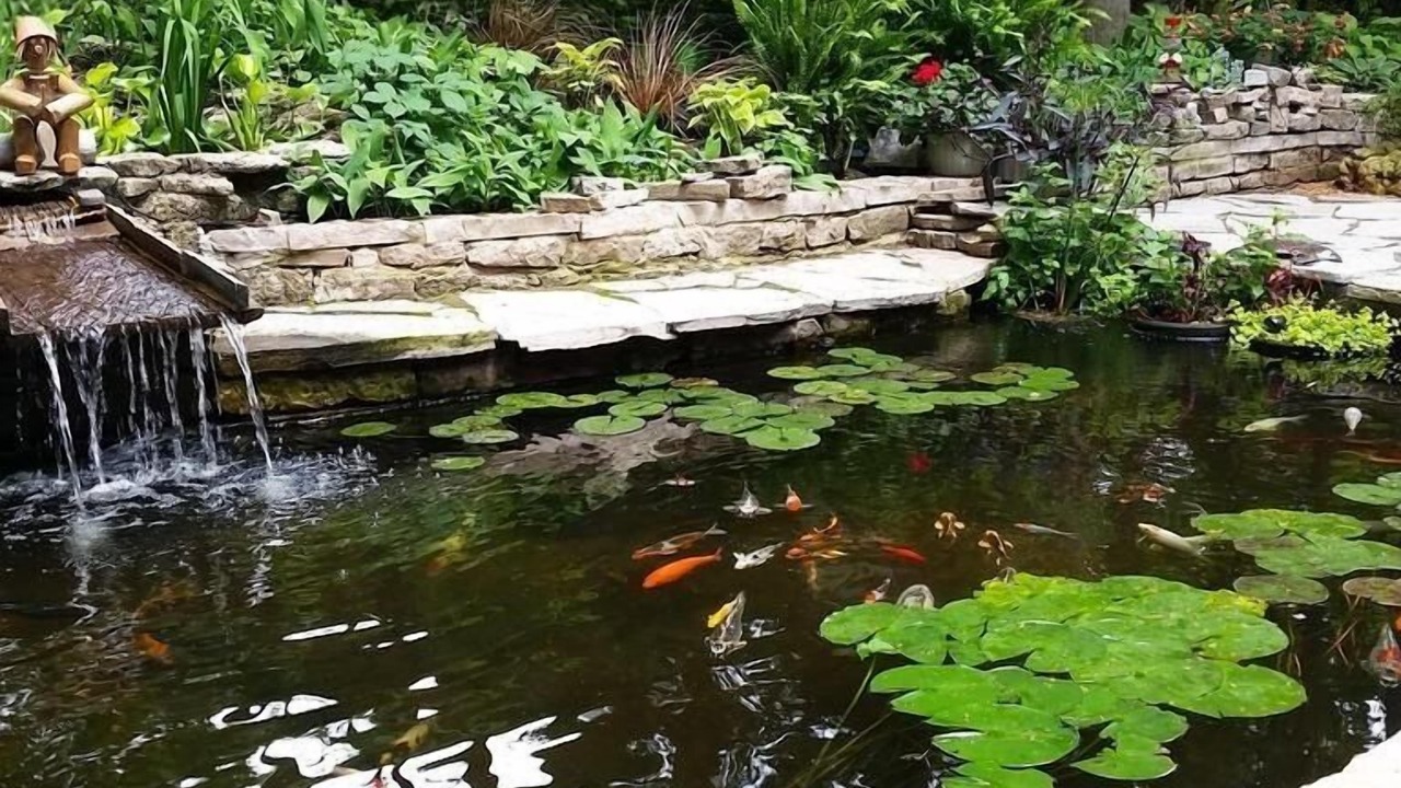 Photo of Outdoor in Kitchener