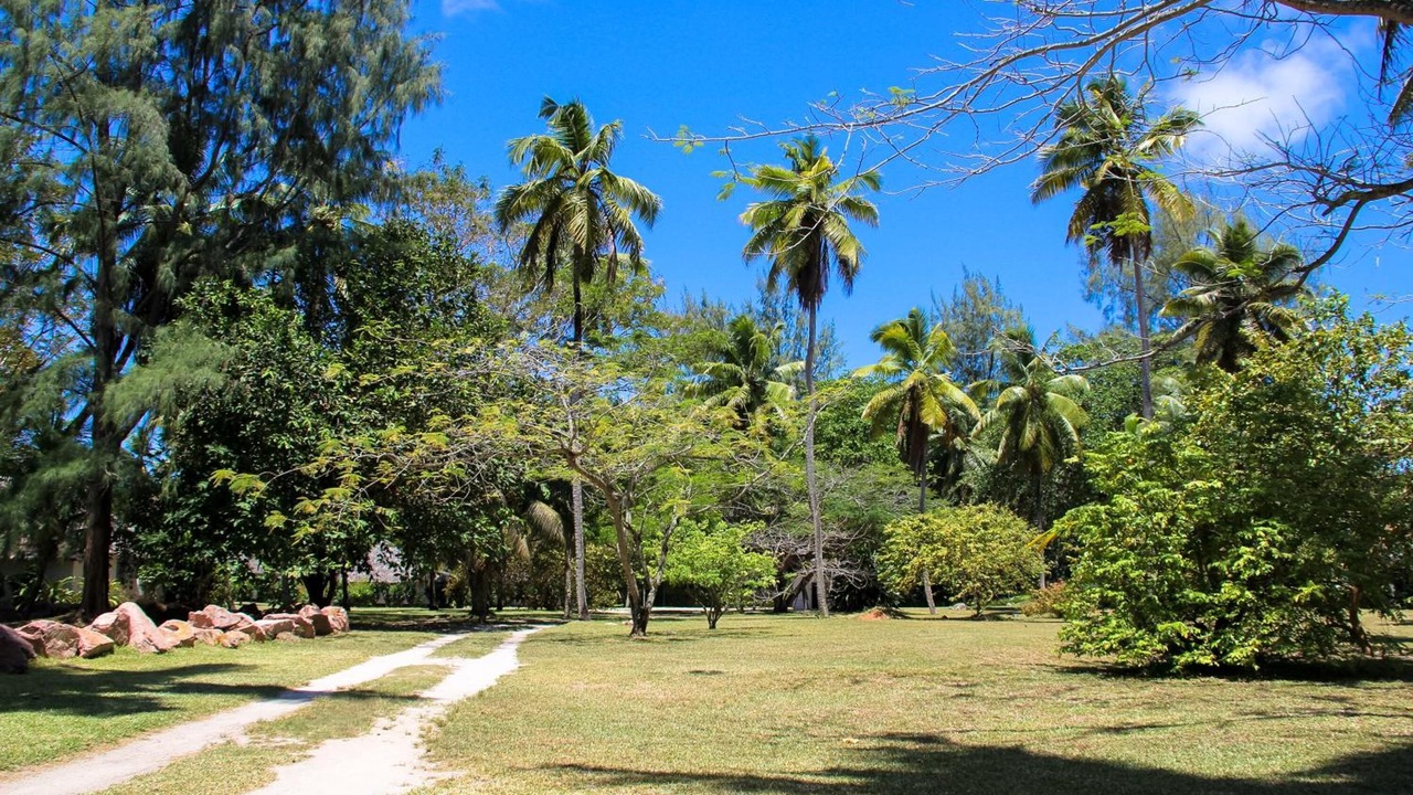 Photo of Outdoor in Praslin Island