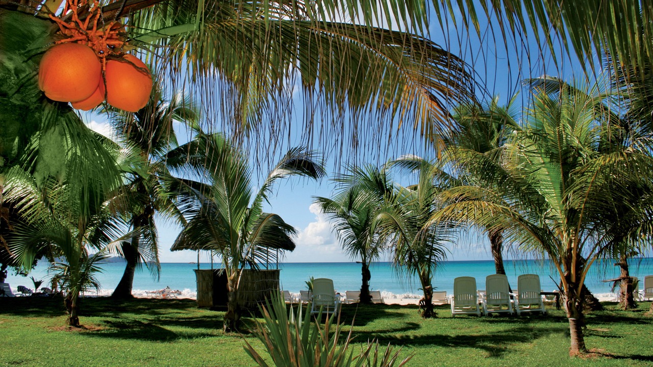 Photo of Outdoor in Praslin Island