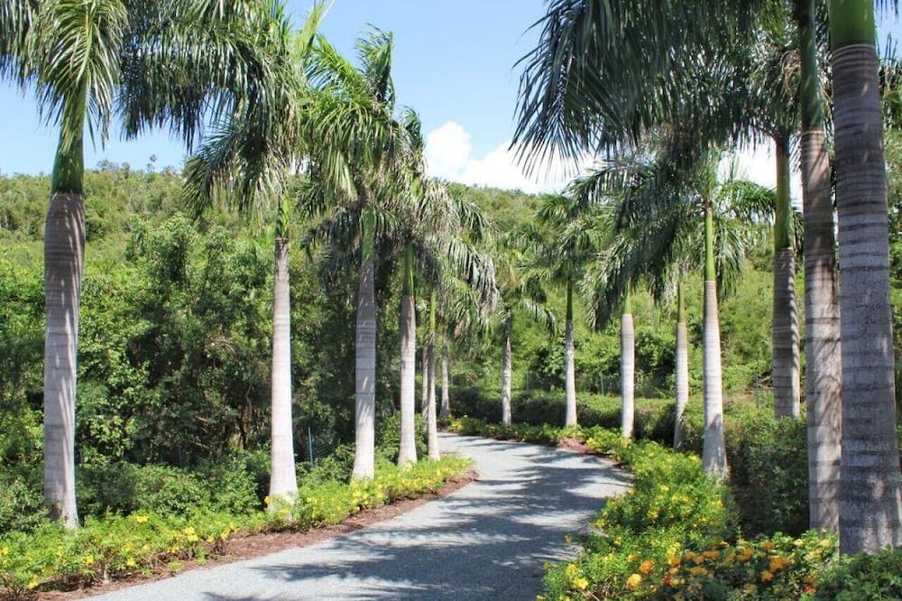 Photo of Others in Estate Little Saint Thomas