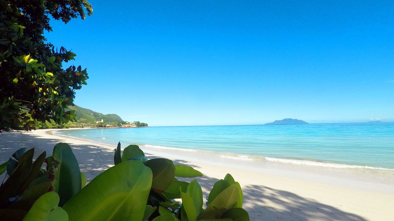 Photo of Others in Beau Vallon