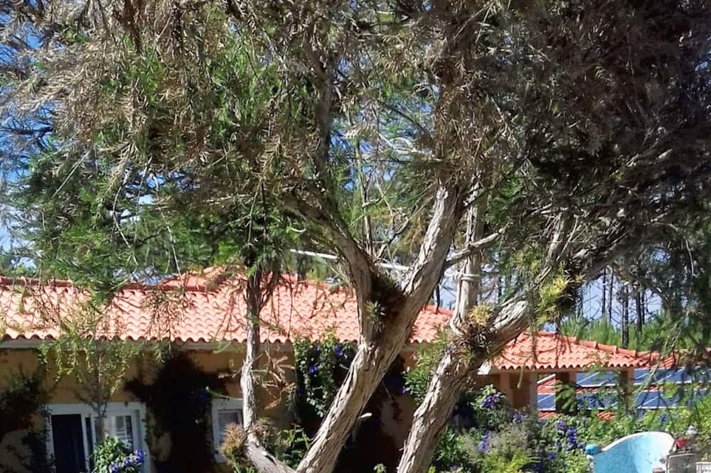 Photo of Outdoor in Nazare