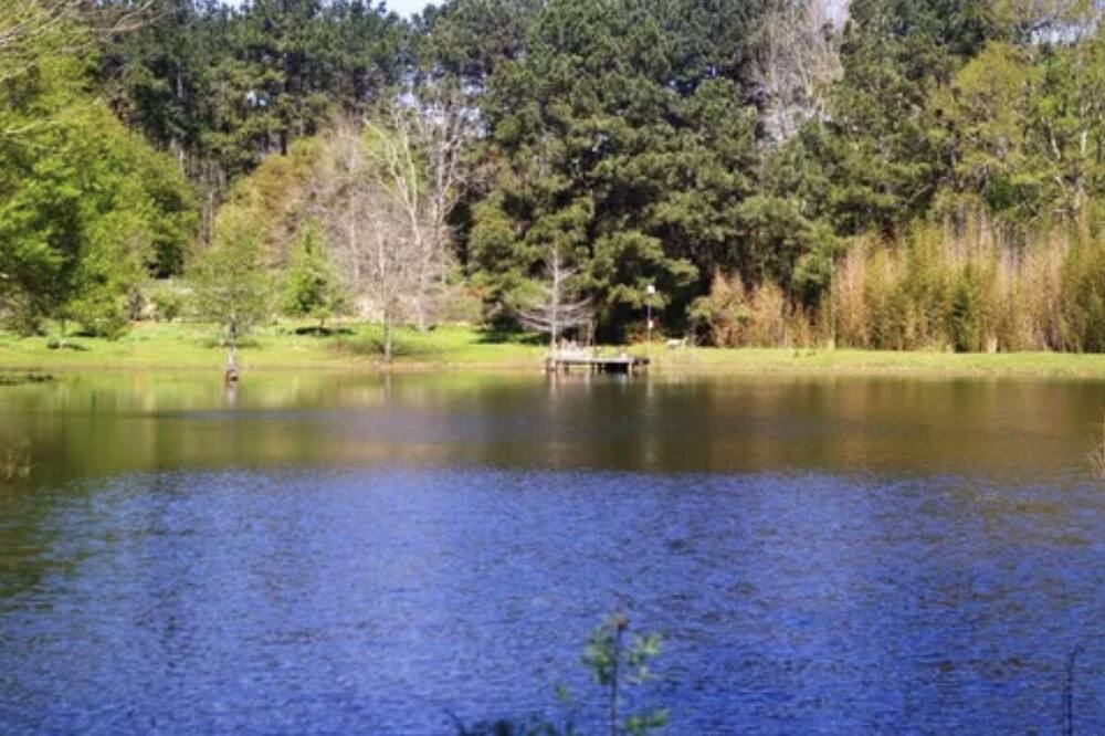 Photo of Outdoor in McComb
