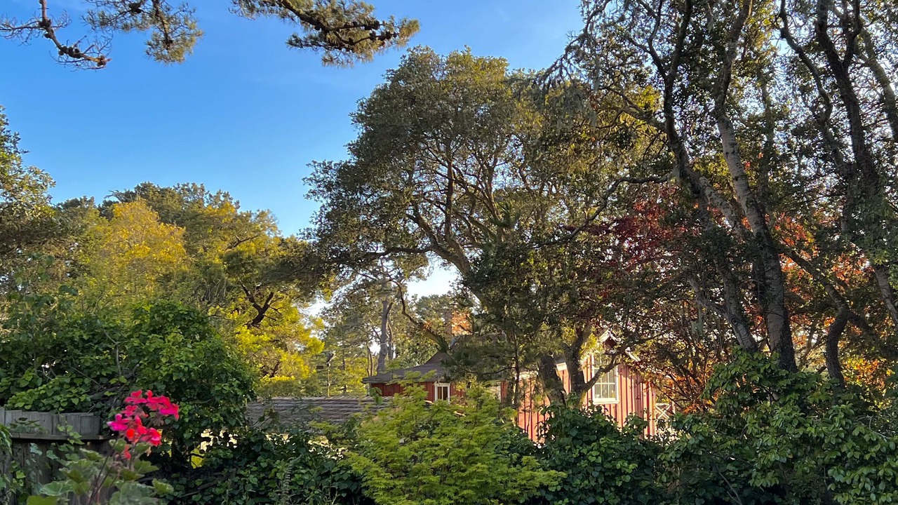 Photo of Outdoor in Northeast Carmel