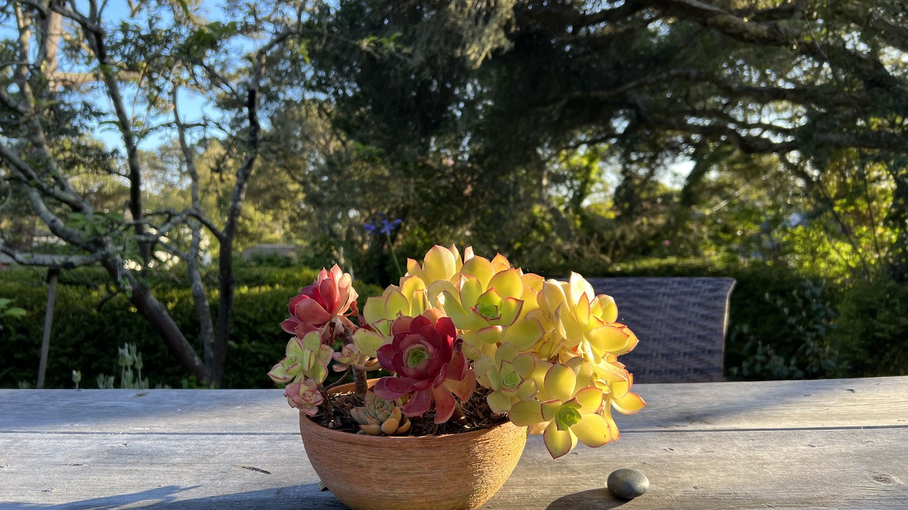 Photo of Outdoor in Northeast Carmel