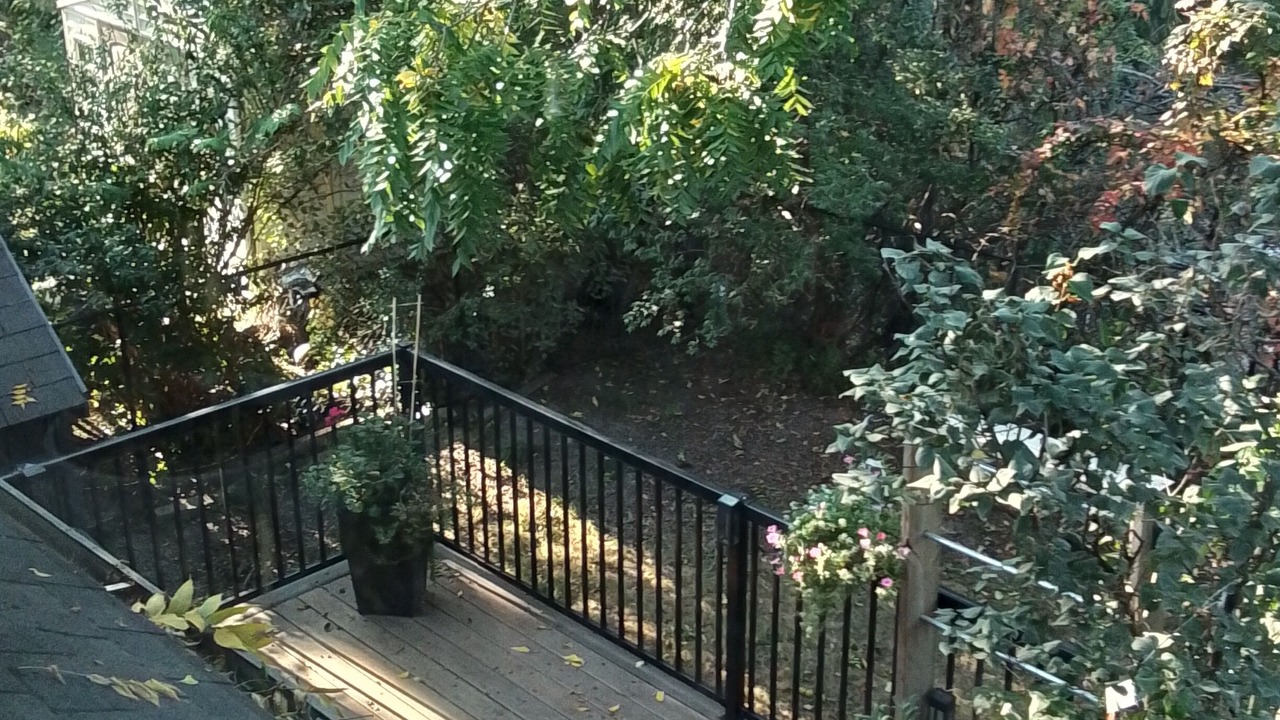 Photo of Outdoor in Waterloo