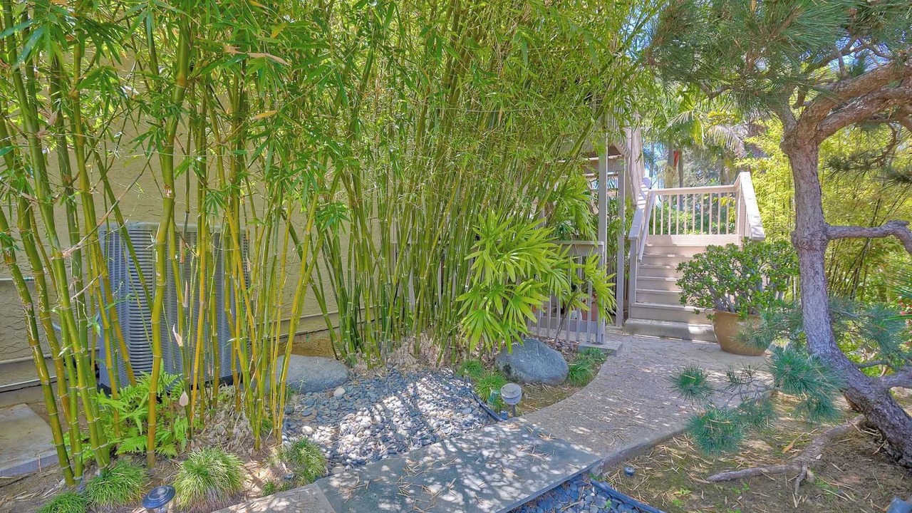 Photo of Outdoor in Leucadia