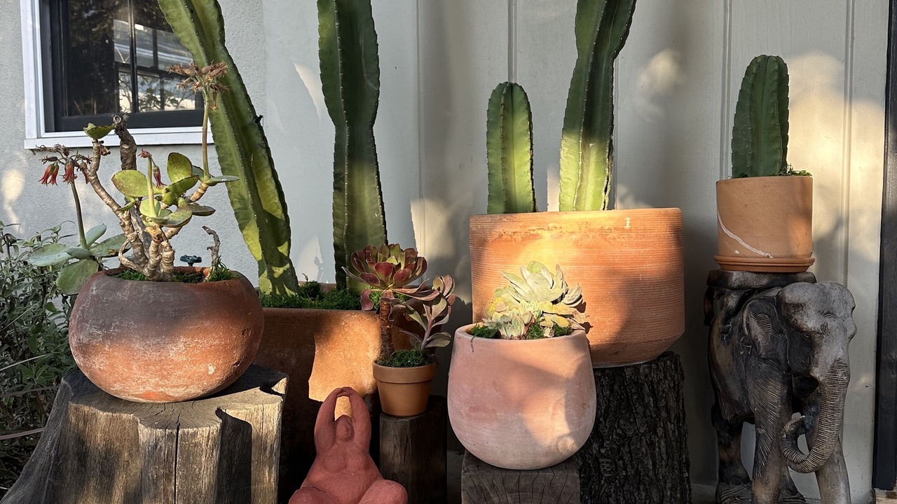 Photo of Outdoor in Mar Vista