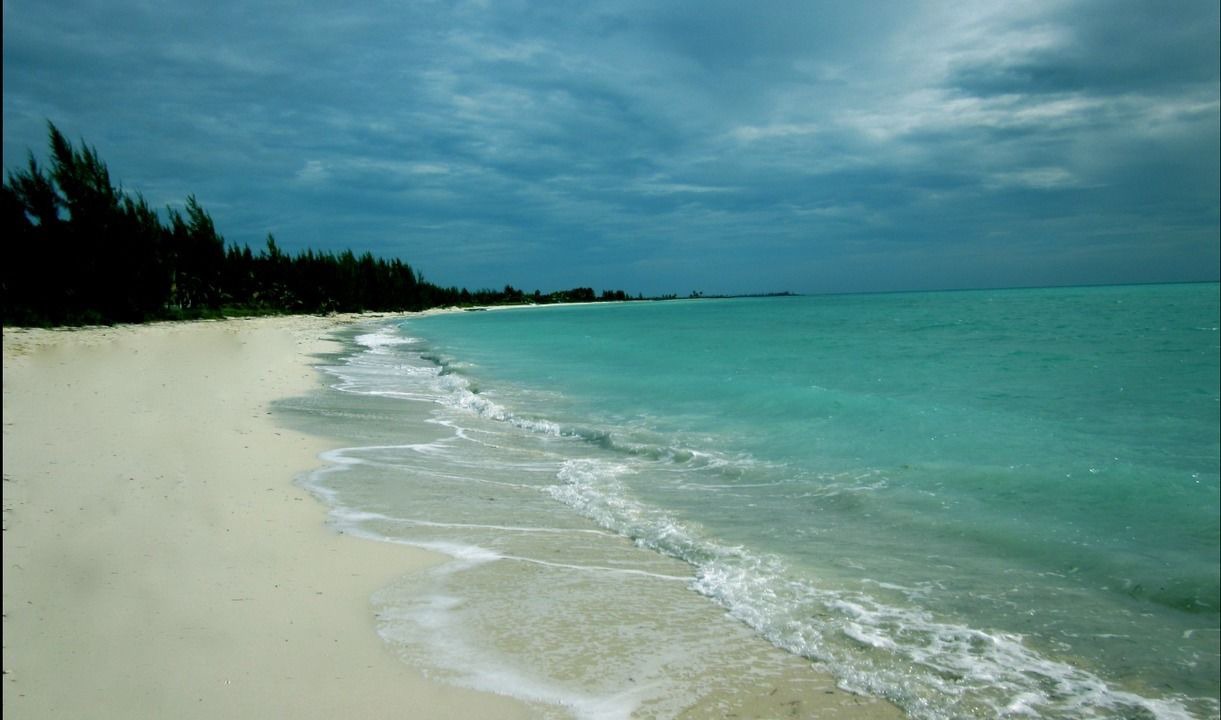 Photo of Others in Freeport