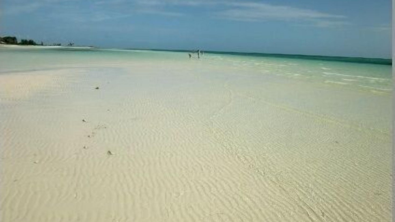Photo of Others in Freeport