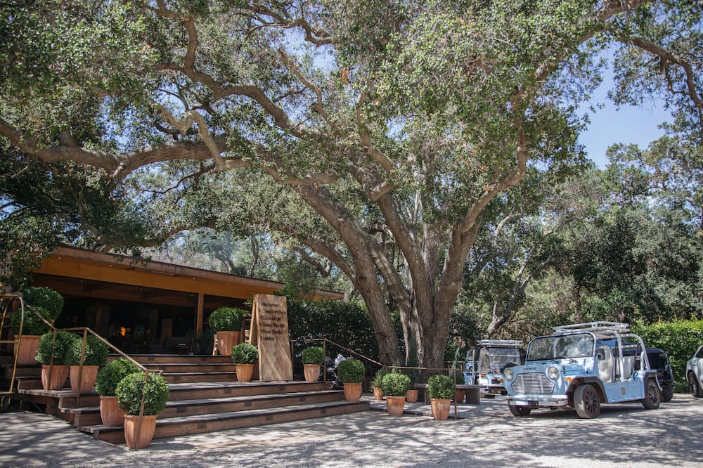 Photo of Outdoor in Malibu