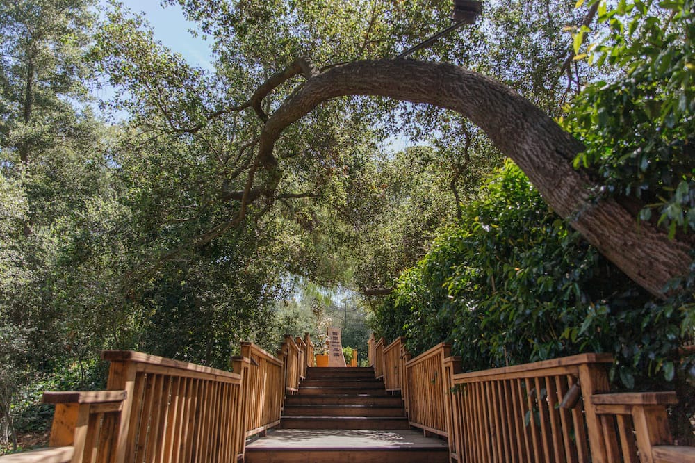 Photo of Outdoor in Malibu