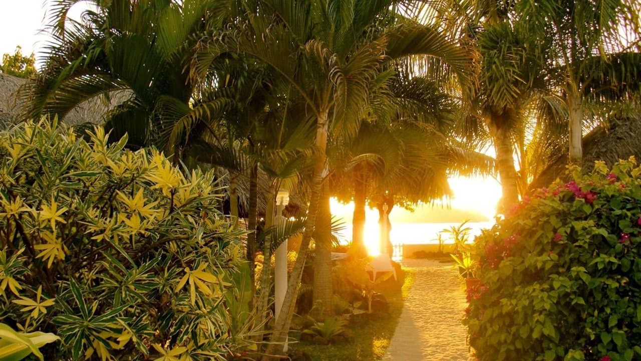 Photo of Outdoor in Matira