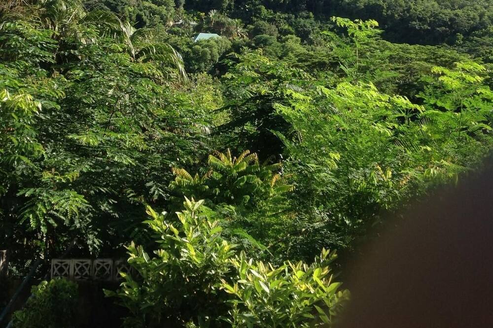 Photo of Outdoor in Mahe Island