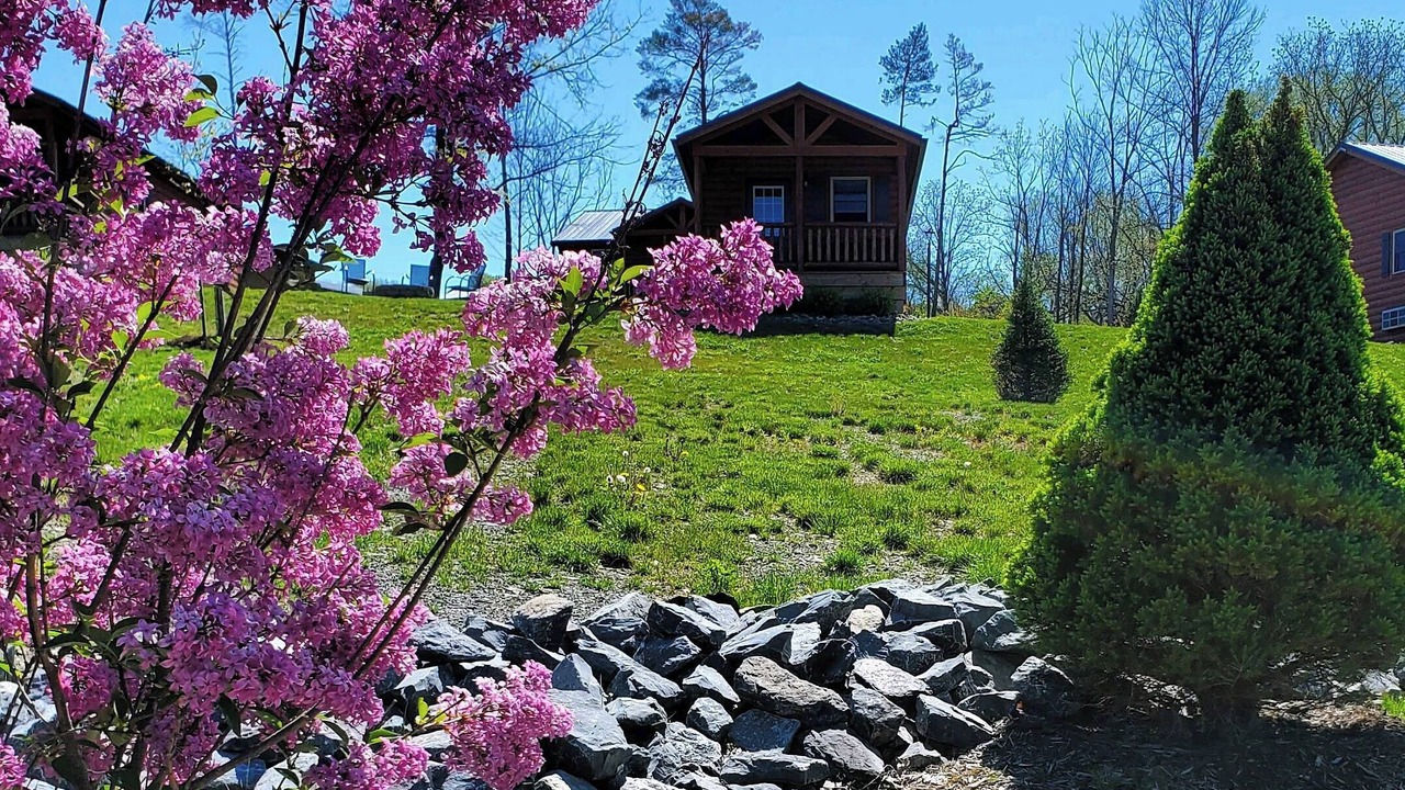 Photo of Outdoor in Valois
