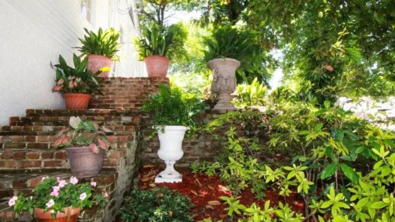 Photo of Outdoor in Vicksburg